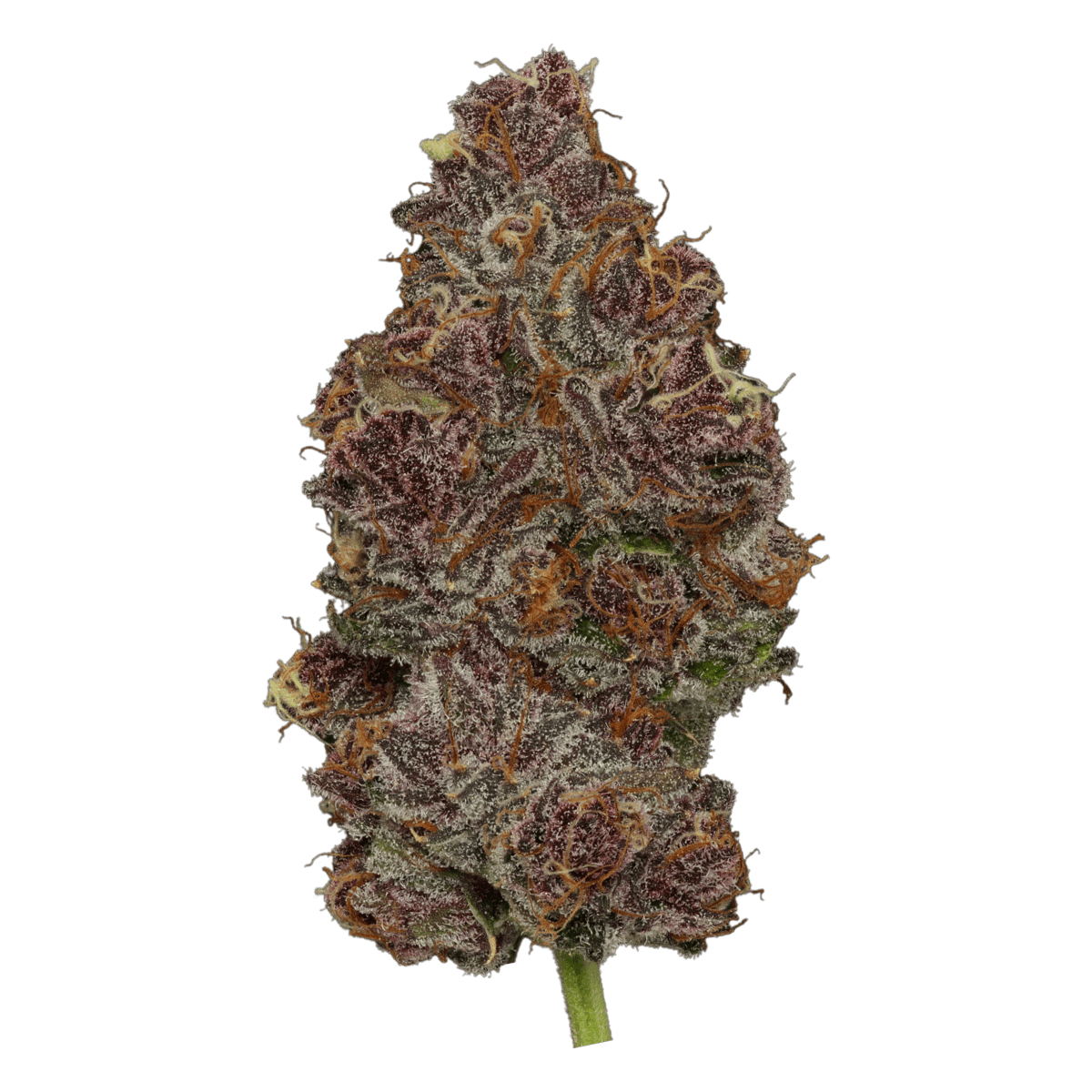 Tropicana 33% Thca Mediums (RARE Strain) main image 1